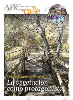 ABC SEVILLA 28-11-2015 página 85