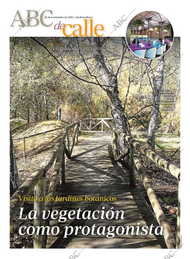 ABC SEVILLA 28-11-2015 página 85