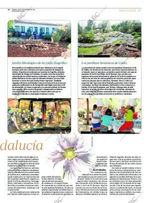 ABC SEVILLA 28-11-2015 página 87