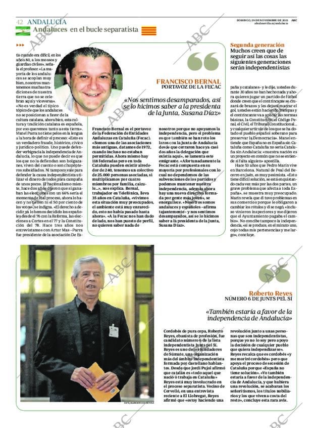 ABC CORDOBA 29-11-2015 página 42