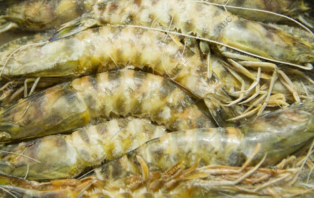 Zona de pescados y mariscos, en el centro de mercancías perecederas