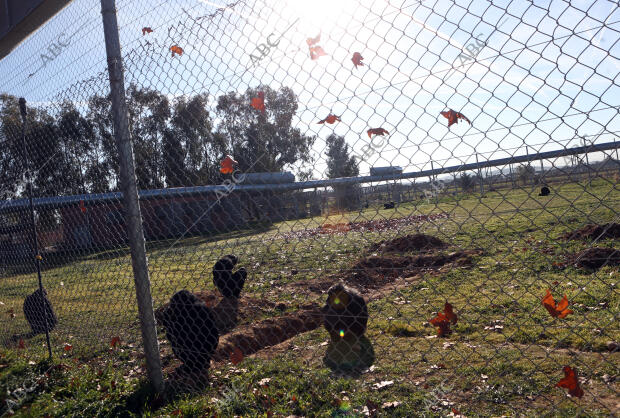 El Casar (Guadalajara), 22/12/2015. Reserva de Primates Rainfer