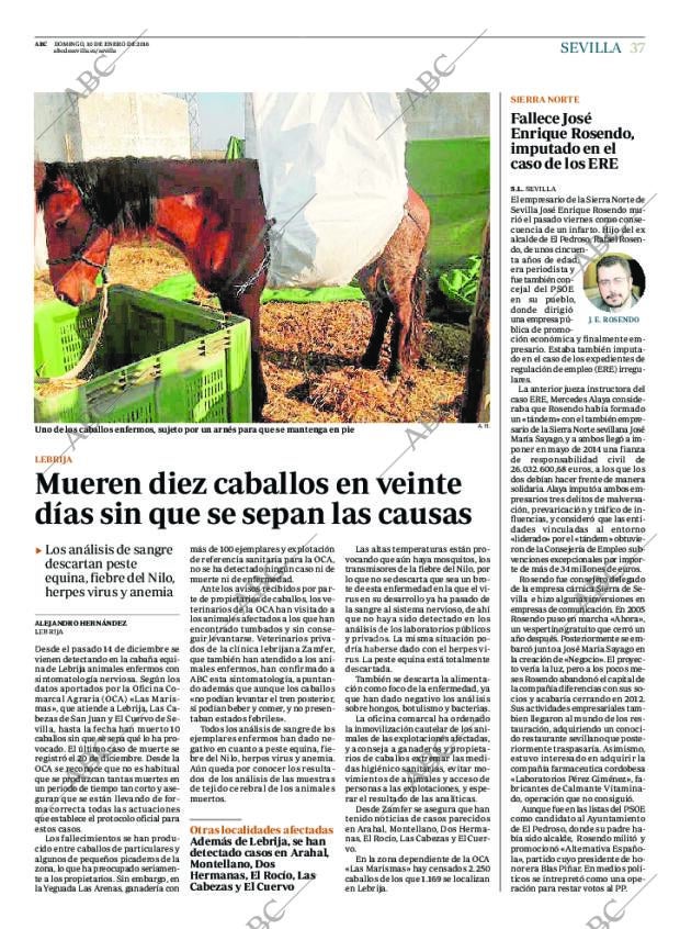 ABC SEVILLA 10-01-2016 página 37