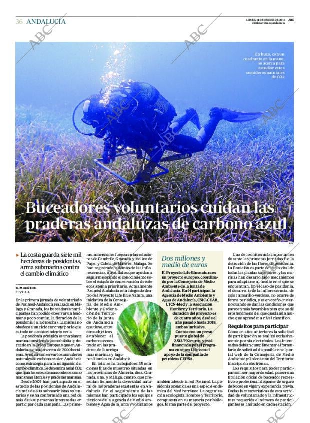 ABC SEVILLA 11-01-2016 página 36