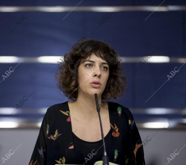 Rueda de prensa de Alexandra Fernández de Mareas, en el Congreso de los...