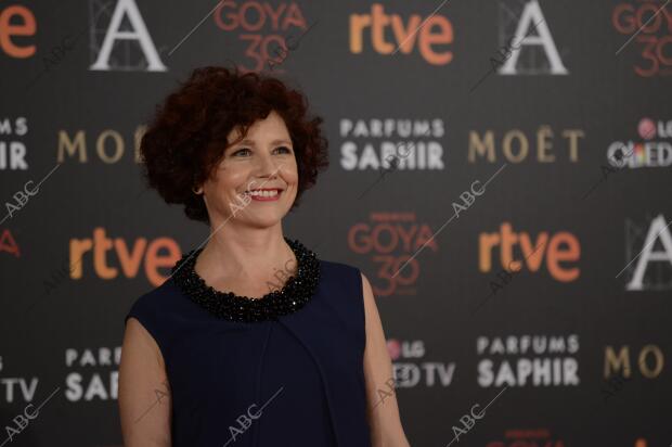 Gala de la 30 edición de los premios Goya