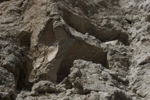 Yacimiento arqueológico Risco de las Cuevas