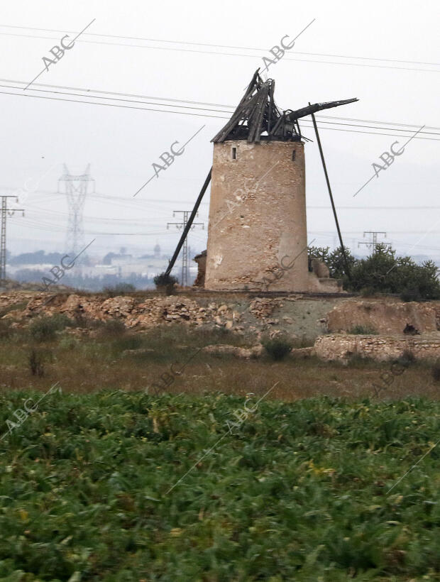 Cartagena (Murcia), 22/03/2016. Campos de Cultivo