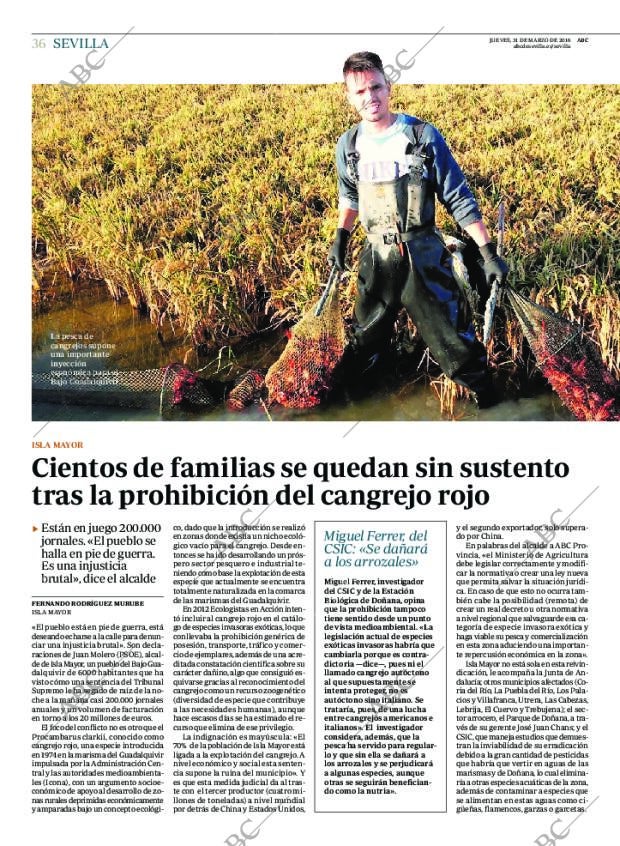 ABC SEVILLA 31-03-2016 página 36