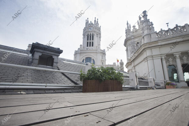 La Alcaldesa de Madrid Manuela Carmena monta un huerto urbano en la terraza del...