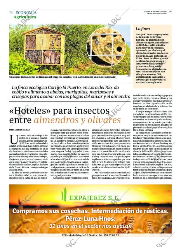 ABC SEVILLA 30-05-2016 página 76