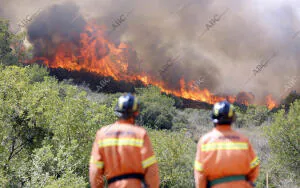 Incendio Forestal