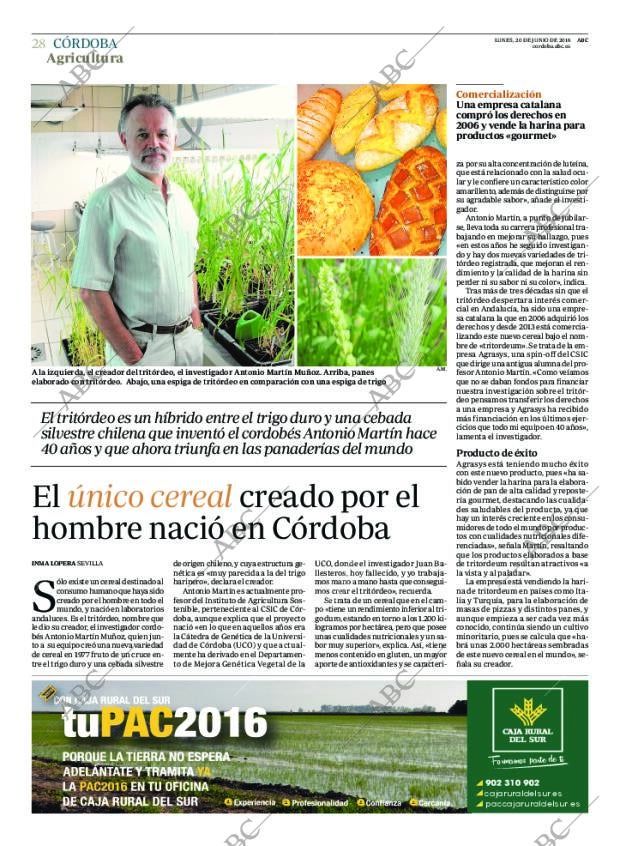 ABC CORDOBA 20-06-2016 página 28