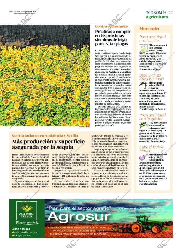 ABC SEVILLA 11-07-2016 página 77