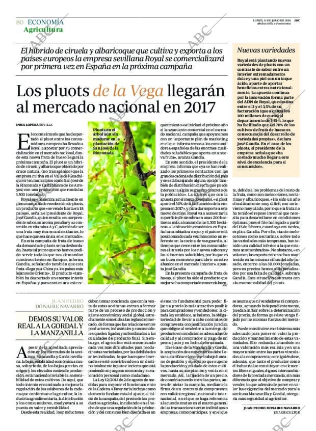 ABC SEVILLA 11-07-2016 página 80