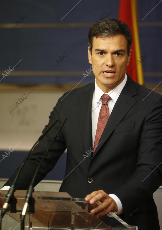 En la imagen, Pedro Sanchez en