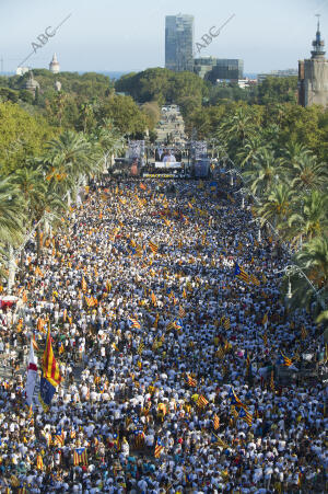 Diada de Cataluña. Manifestación por la independencia de Cataluña