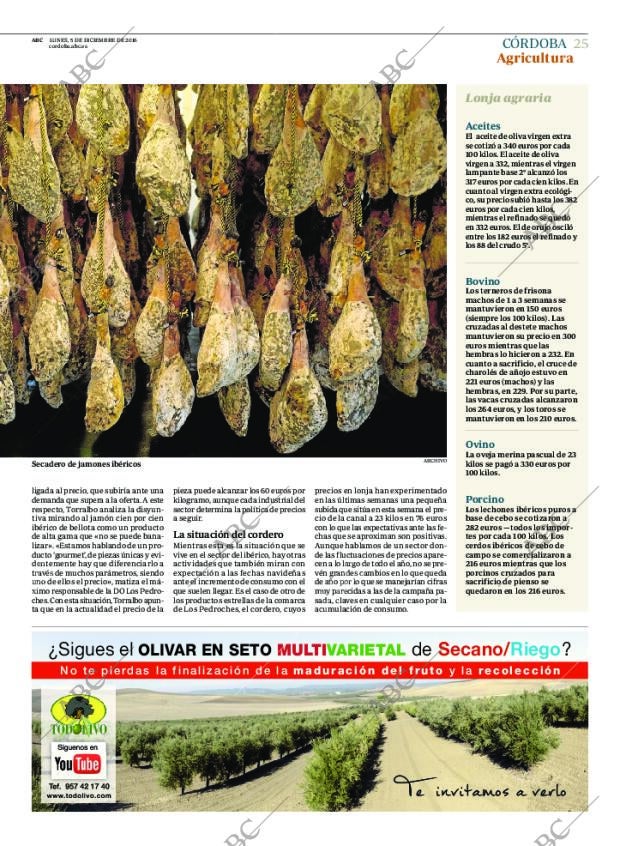 ABC CORDOBA 05-12-2016 página 25