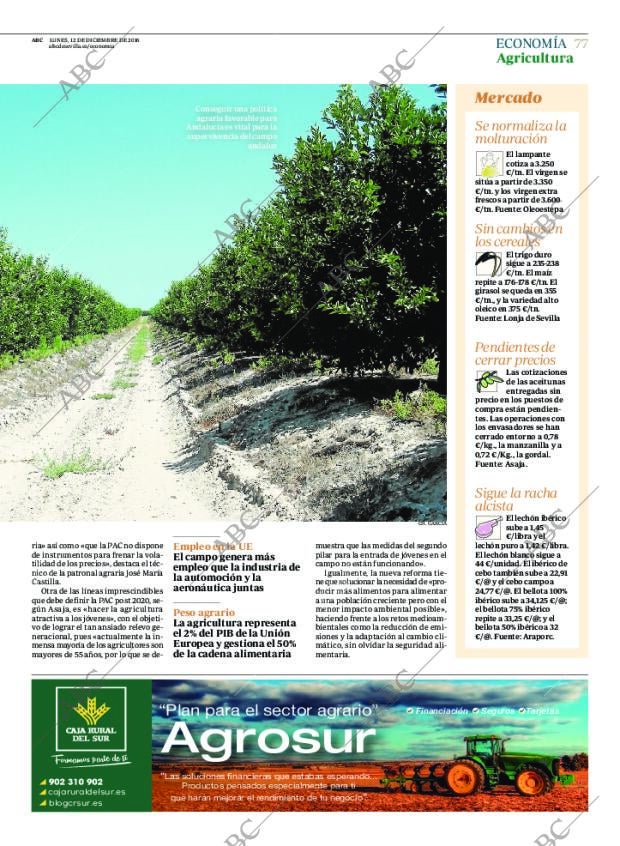 ABC SEVILLA 12-12-2016 página 77