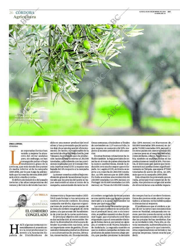 ABC CORDOBA 19-12-2016 página 26