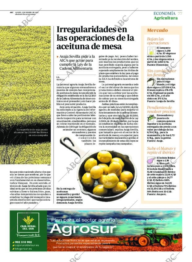 ABC SEVILLA 02-01-2017 página 77