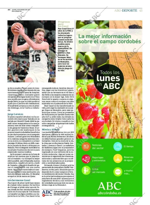 ABC CORDOBA 09-01-2017 página 43