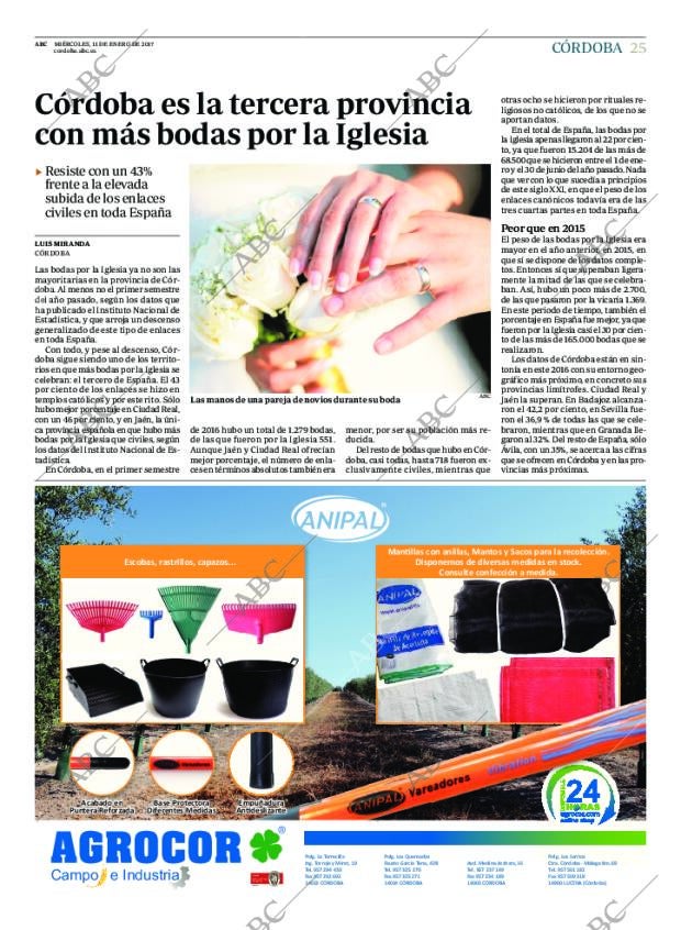 ABC CORDOBA 11-01-2017 página 25