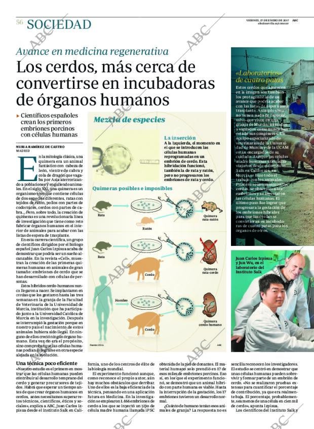 ABC SEVILLA 27-01-2017 página 56