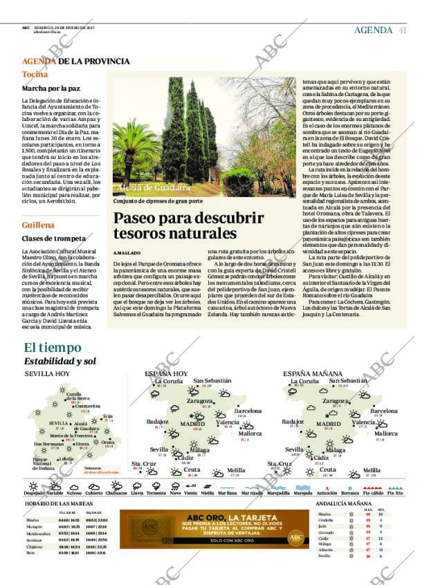ABC SEVILLA 29-01-2017 página 41