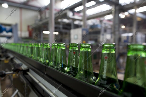 San Sebastián de los Reyes (Madrid), 31/01/2017