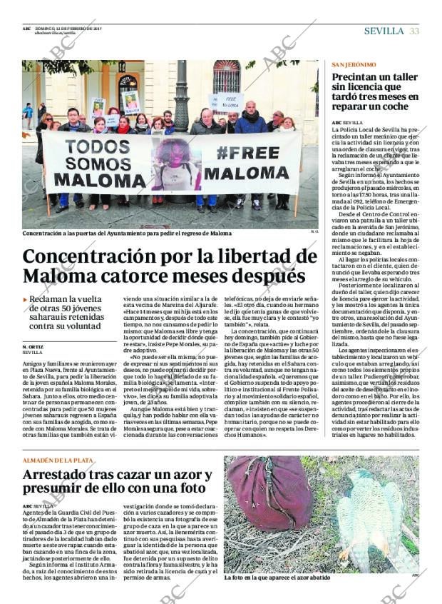 ABC SEVILLA 12-02-2017 página 33