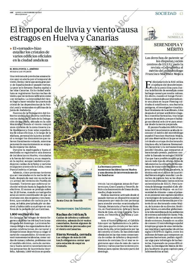 ABC MADRID 13-02-2017 página 43