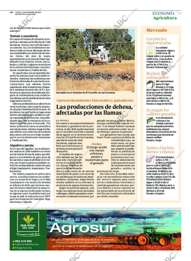ABC SEVILLA 13-02-2017 página 75