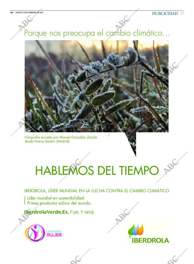 ABC SEVILLA 14-02-2017 página 17