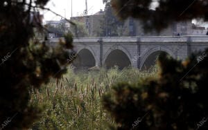 Puentes de Córdoba. En la Imagen, el puente de san Rafael