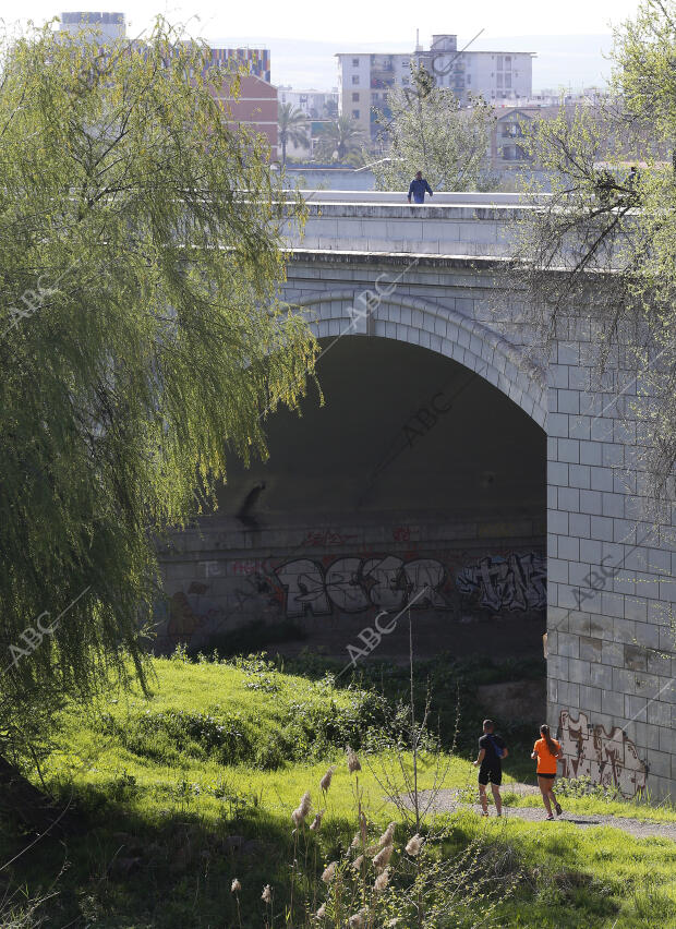 Puentes de Córdoba. En la Imagen, el puente de san Rafael