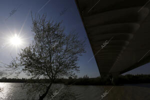 Puentes de Córdoba. En la imagen, el puente de Andalucía