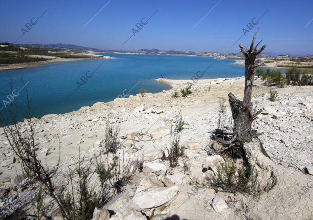 El embalse de La Pedrera, el mayor almacén de agua del Campo de Cartagena y de...