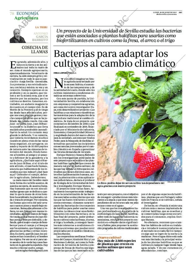 ABC SEVILLA 26-06-2017 página 78