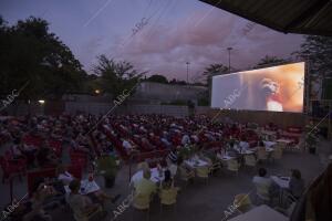 Reportaje plan B. cine de verano del parque de la Bombilla