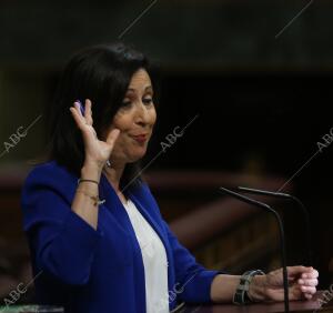 Pleno extraordinario en el Congreso de los Diputados con la comparecencia del...