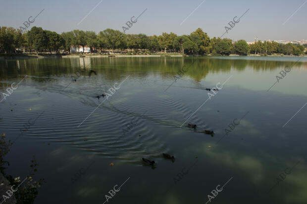 El lago de la casa de Campo