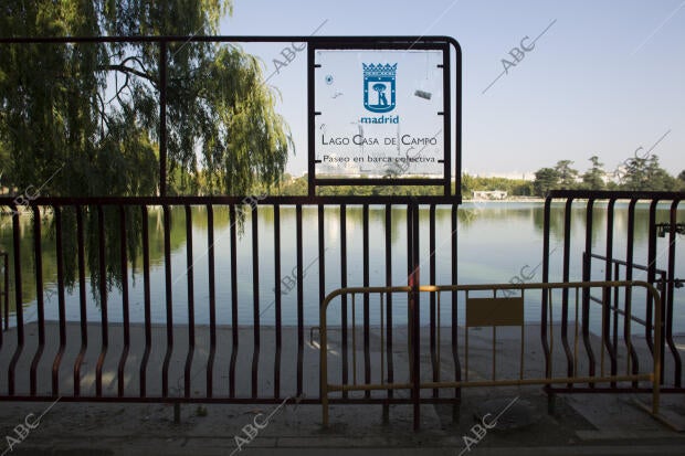 El lago de la casa de Campo - Archivo ABC