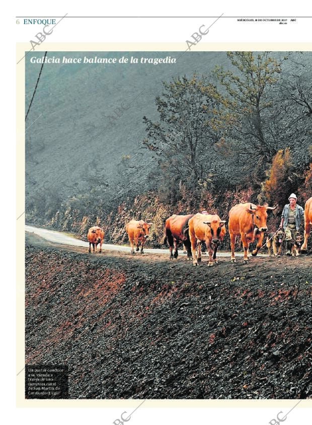 ABC CORDOBA 18-10-2017 página 6