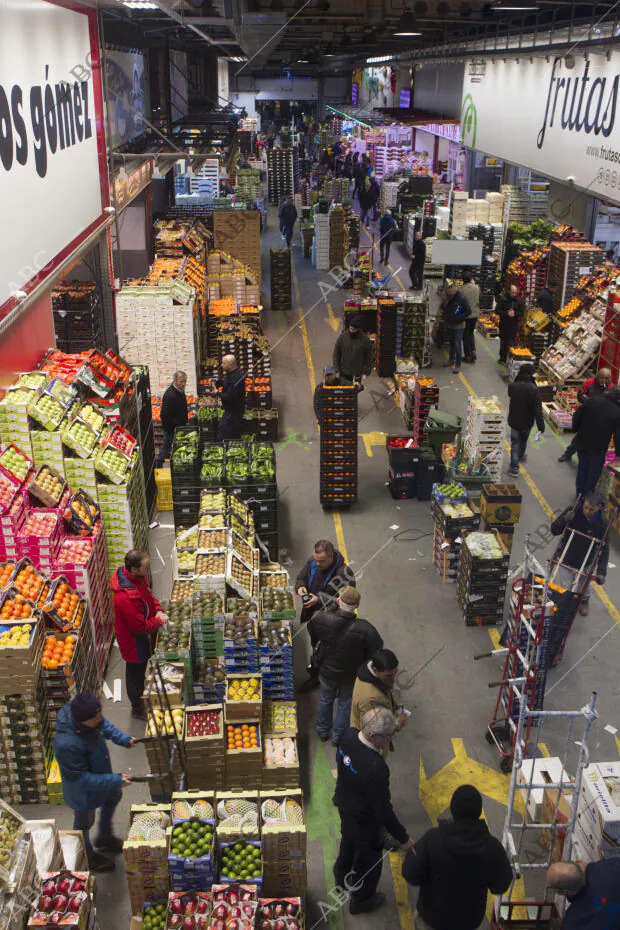 Reportaje sobre Mercamadrid, mercado central de la capital de España