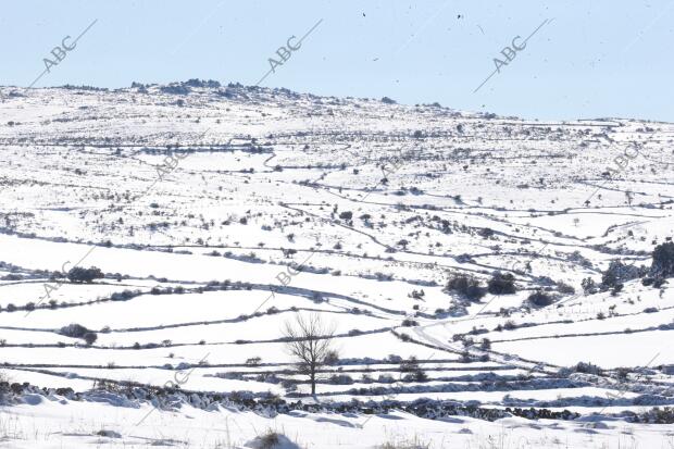 Paisajes nevados en los alrededores de la AP-6 y la A-6 entre Villacastin y san...