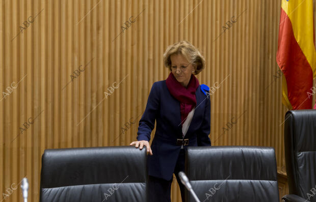 Elena Salgado en la Comisión de investigación sobre la crisis financiera en el...