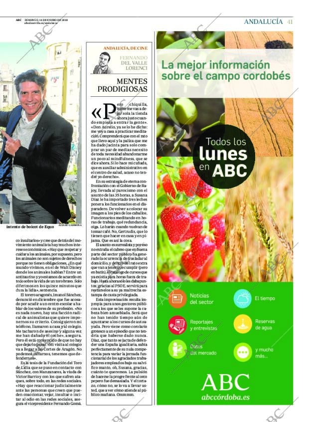 ABC CORDOBA 14-01-2018 página 41