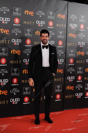 Gala de la 32ª edición de los Premios Goya