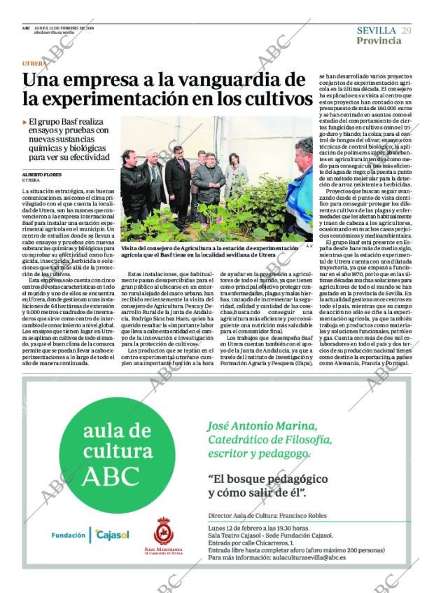 ABC SEVILLA 12-02-2018 página 29